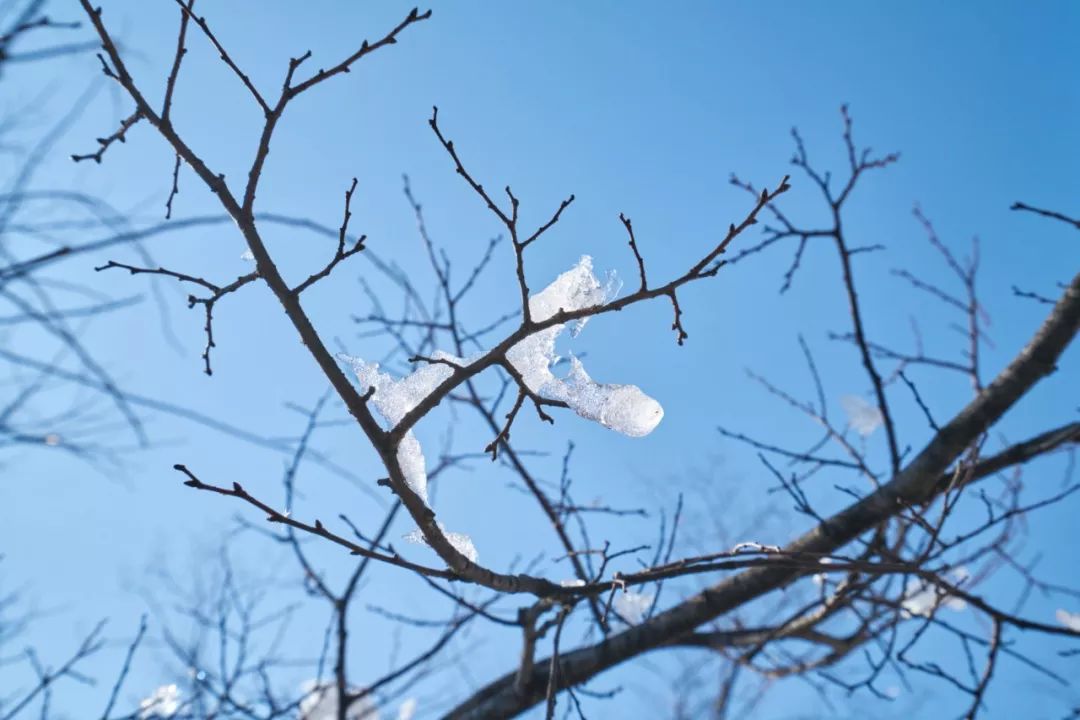 小雪诗词十首 ：小雪飘扬，一片飞来一片寒